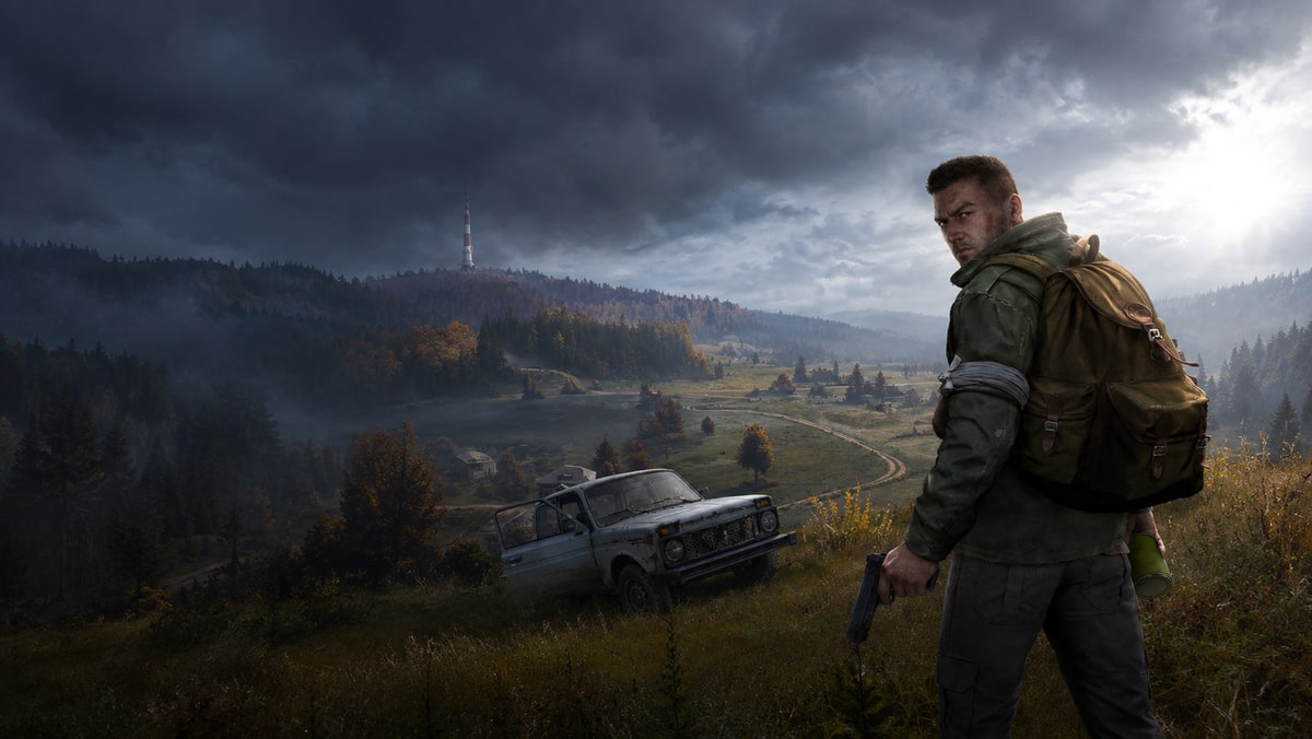 Best DayZ hacks review and comparison 2026